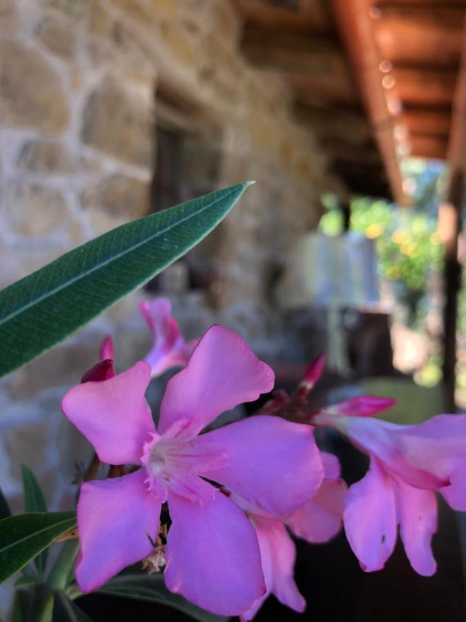 Bed and Breakfast San Noto Antica Residenza Di Caccia Ficarra Exterior foto